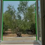 Apartmán Domus De Palma Molfetta