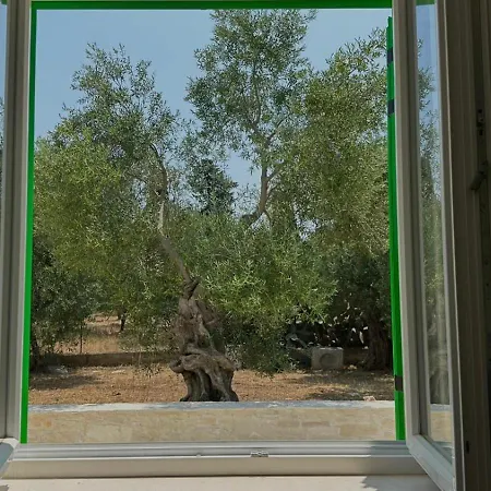 Domus De Palma *