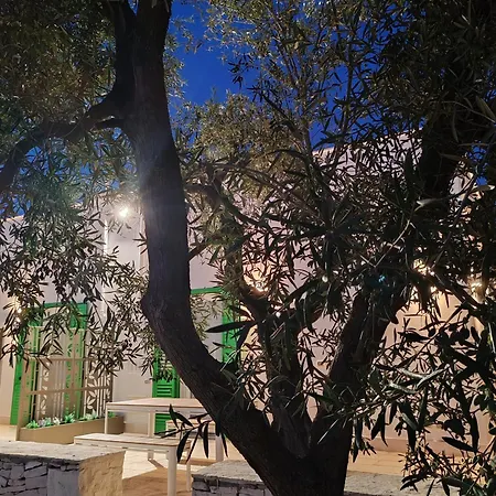 Domus De Palma * Molfetta